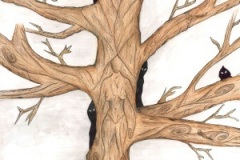 Quercia degli streghi